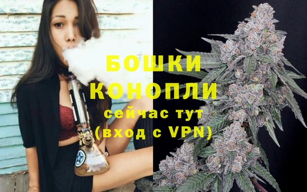 тгк Гусев