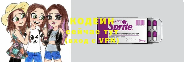 тгк Гусев