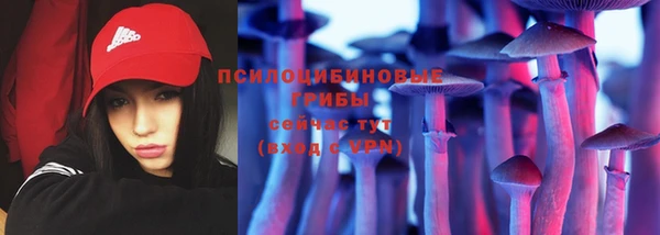 тгк Гусев