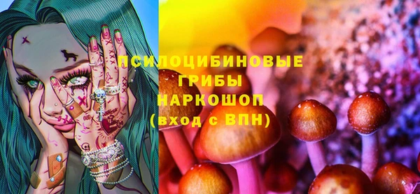 хмурый Дмитров