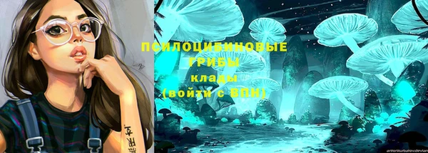 меф VHQ Дмитриев