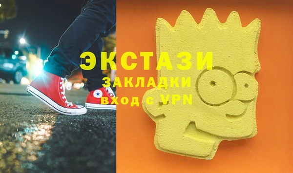 тгк Гусев