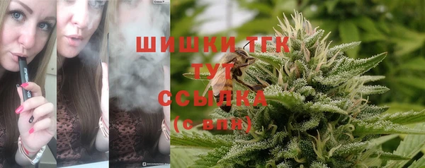 герыч Гусь-Хрустальный