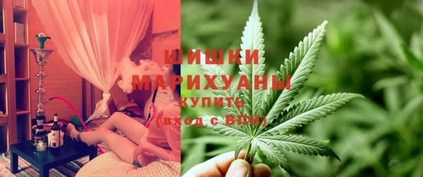 тгк Гусев