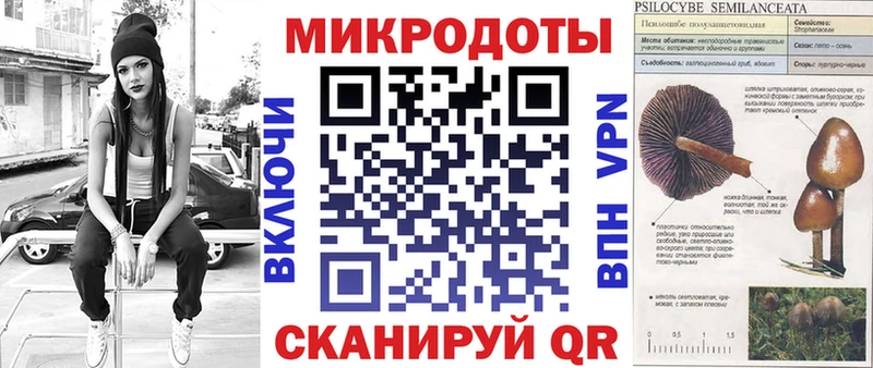 Псилоцибиновые грибы Psilocybine cubensis продажа наркотиков Октябрьск